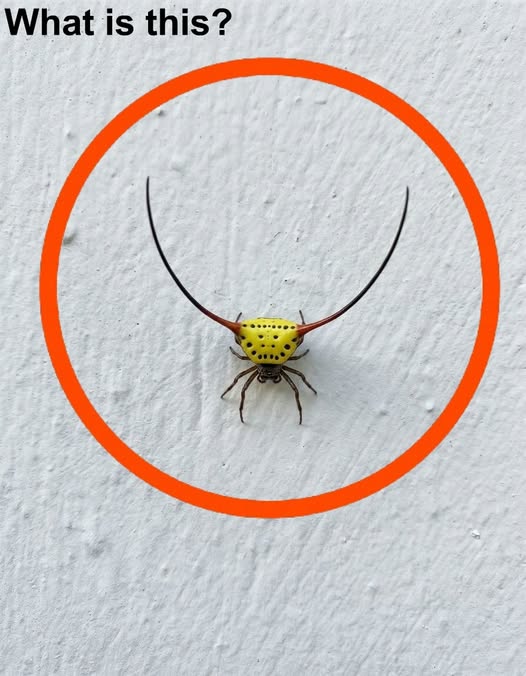 Last night, I went into the garage, turned on