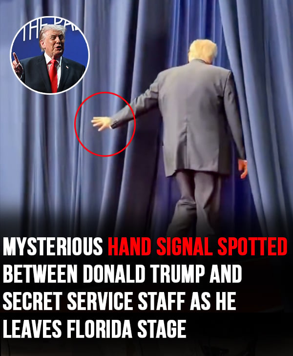 Mysterious hand signal spotted between