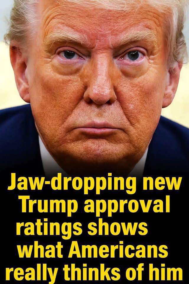 Confidence In Trump Collapses Fast