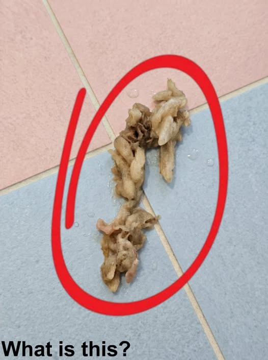 This morning I found this in my girlfriend’s
