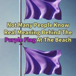 Why You Might See a Purple Flag Flying at the 