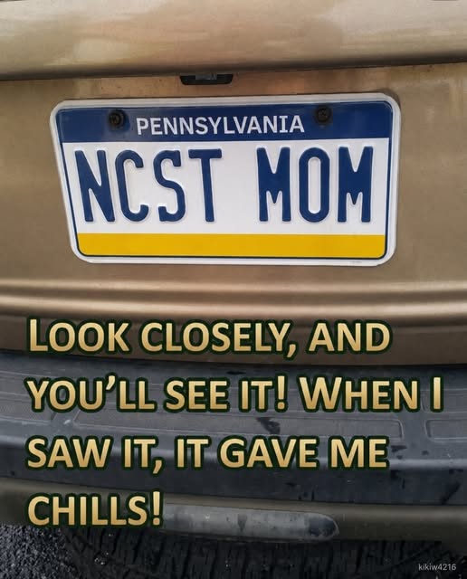This Clever License Plate Has Everyone T