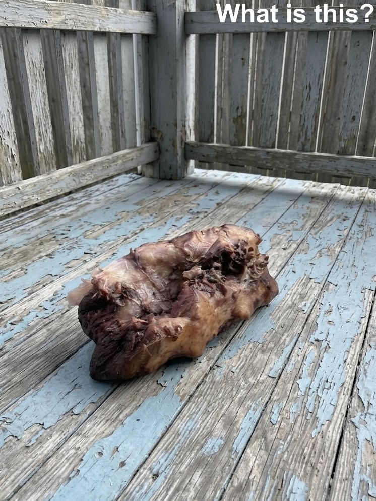This morning, I stepped out onto my porch