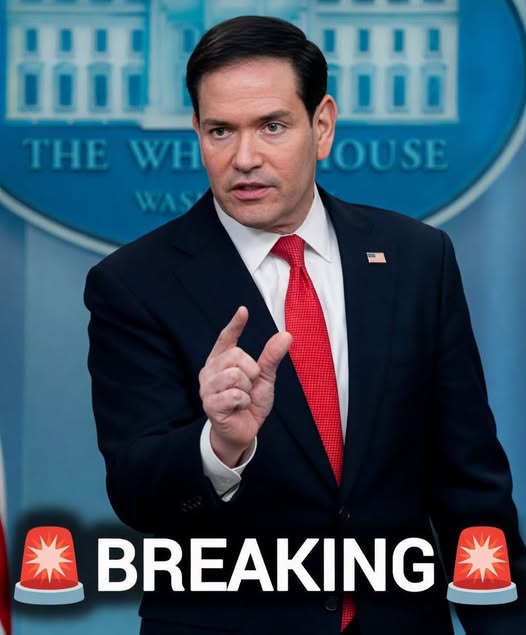 Marco Rubio Addresses Diplomatic 