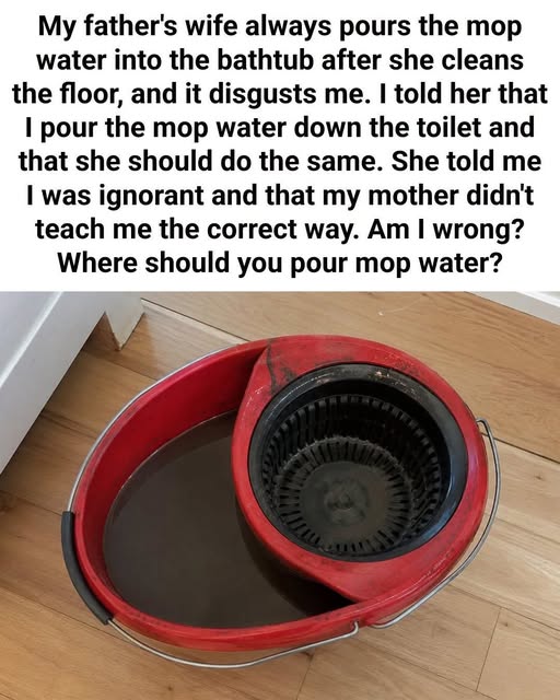 Where to Dispose of Dirty Mop Water: Toilet or Bath