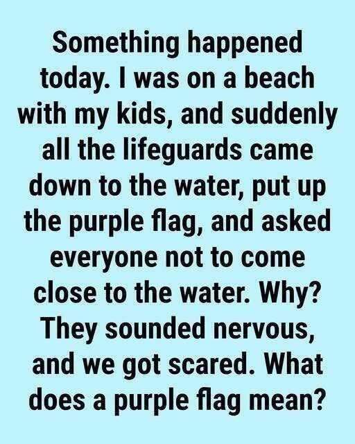 Why You Might See a Purple Flag Flying at the B