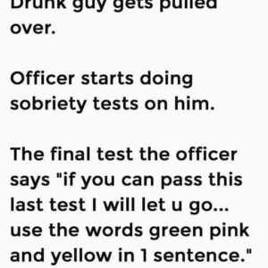 Drunk Guy Gets Pulled Over — The Last Test Seals H