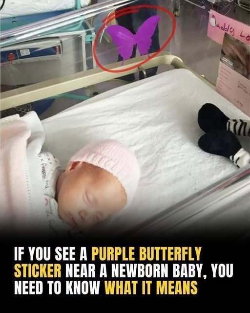 If you see a purple butterfly sticker nea