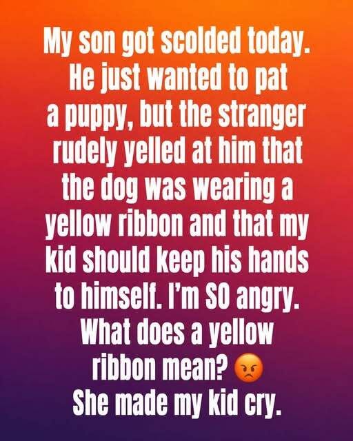 This Is What a Yellow Ribbon on a D