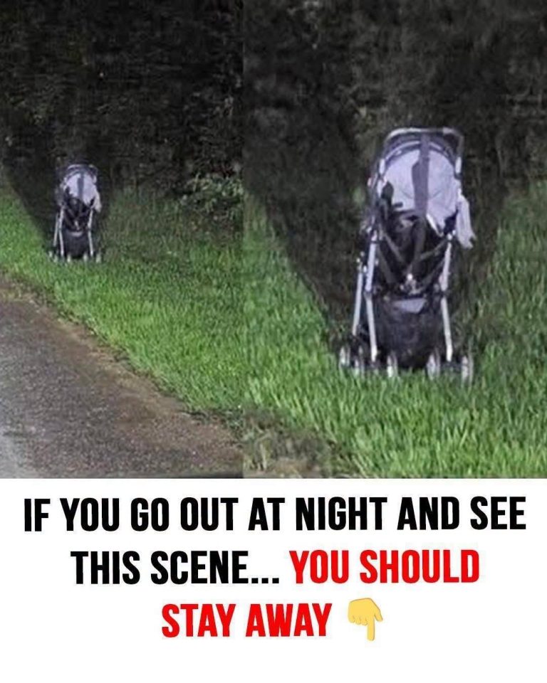 If you find an abandoned stroller at 