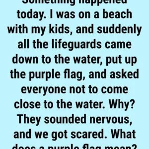 DANGER IN THE WATER WHY THAT PURPLE FLAG AT TH