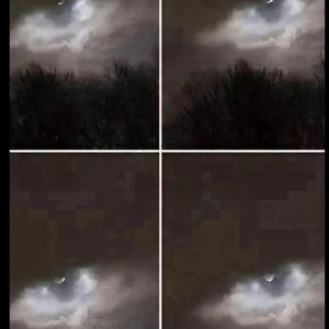 My Brother Took This Photo Just 21