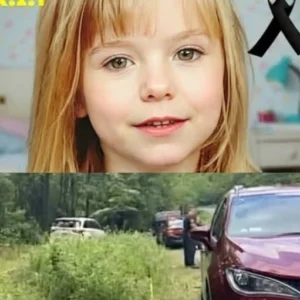 A Missing Child Was Found in the