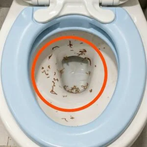 I went into the bathroom to take 