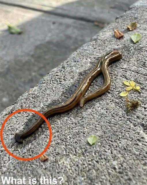 Early in the morning, I went outside to get some fre