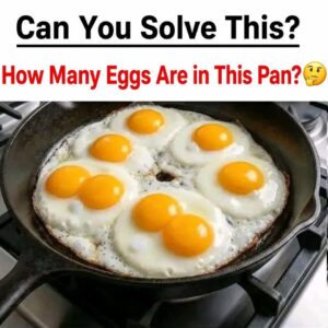 How Many Eggs Are in This Pan?