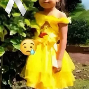 The 5-Year-old girl who was hit 