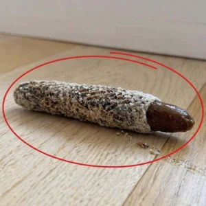 I Found a Strange Little Object on My Floo
