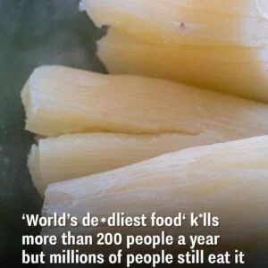 The Hidden Danger of Cassava