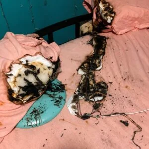 Firefighters Warn People About The Dangers 