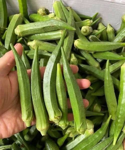 Doctors reveal that eating okra 