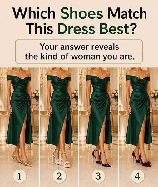 Which Shoes Match This Dress Best?