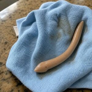 A leech in the bathroom: when nature visits your h