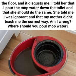 Where to Dispose of Dirty Mop Water: Toilet or