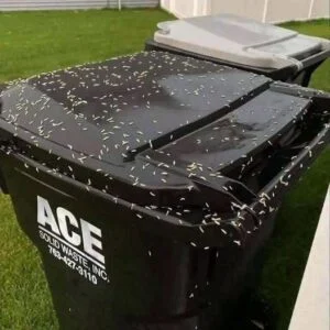 What I Mistook for Trash Changed Everything