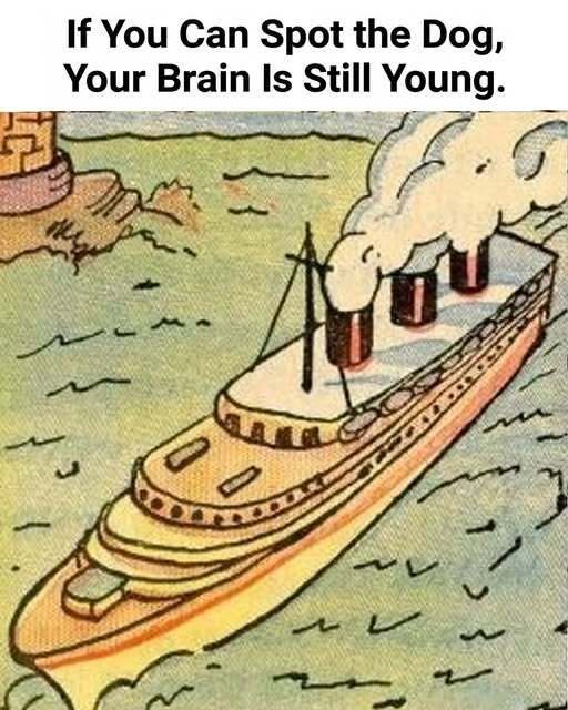 If You Can Spot the Dog, Your Brain