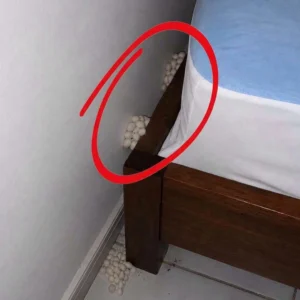 I Came Home After A Long Shift Only To Find A Terrify