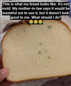 Hard or Moldy? What to Know Before Eating Stale Bre