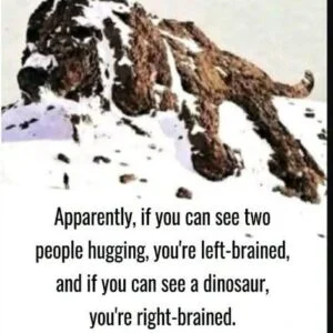 The ultimate visual brain-scan test: left-brained
