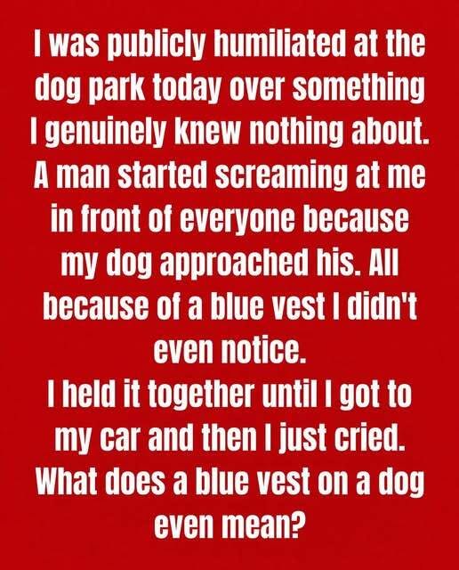 Why Some Dogs Wear Blue Vests, Bandanas, or L