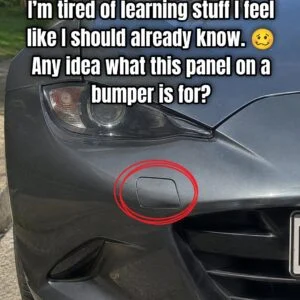 Small Panel on Bumper: Why It’s Ther