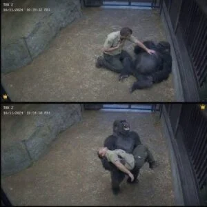 How a Beloved Animal Helped Save